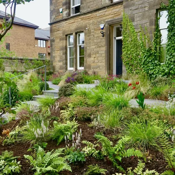 Accessible Morningside garden, design by Carolyn Grohmann