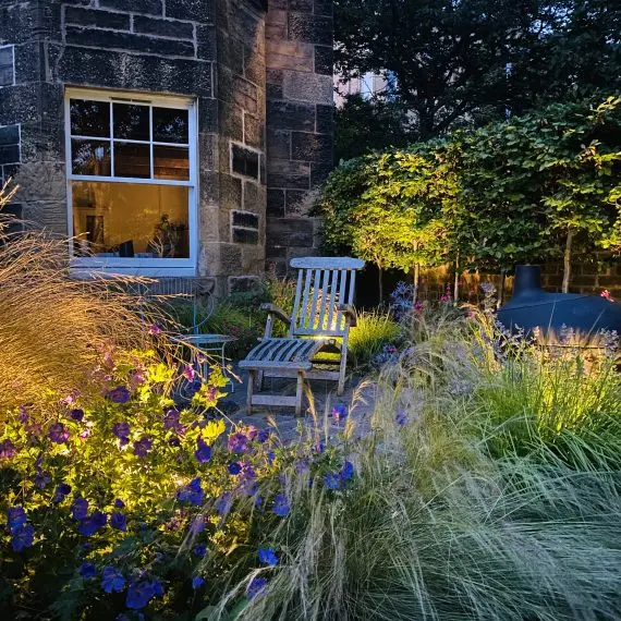 Shandon garden at night