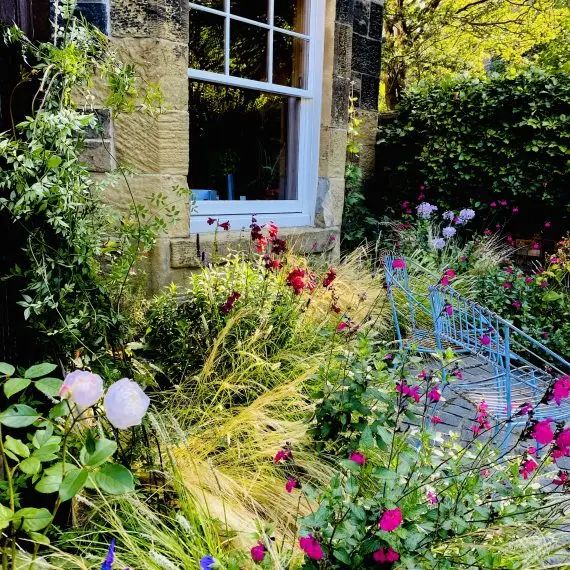 Shandon garden in summer