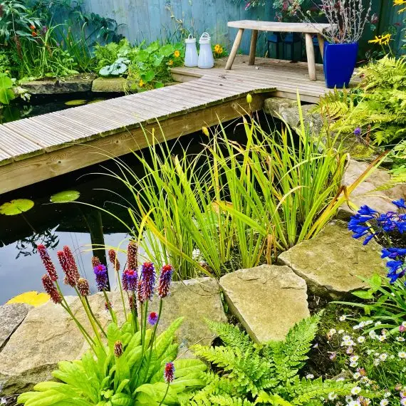 Shandon wildlife pool and garden
