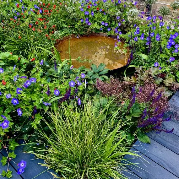 Corten steel water bowl