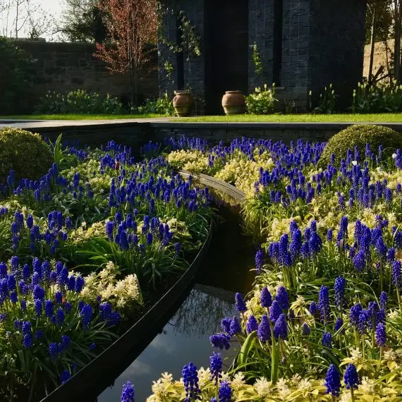 Sunken garden with rill
