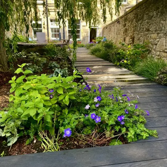 Millboard decking boardwalk