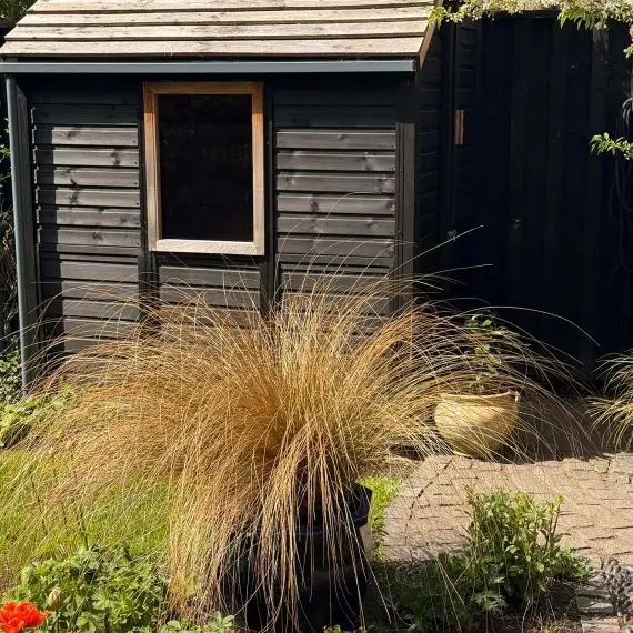 Our sauna is a simple, discrete garden structure