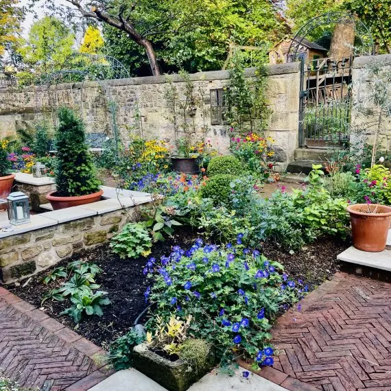 Murrayfield Garden 2