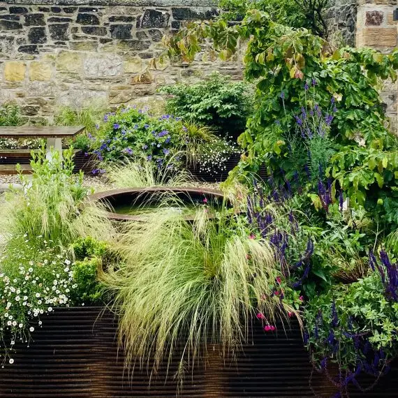 Murrayfield Garden