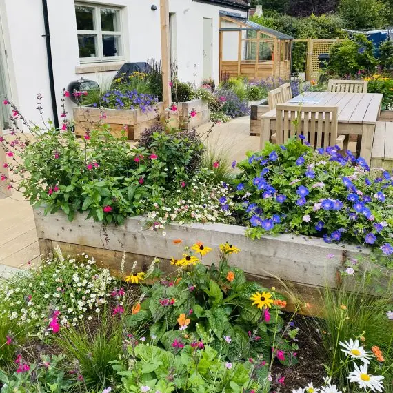 St Andrews Garden