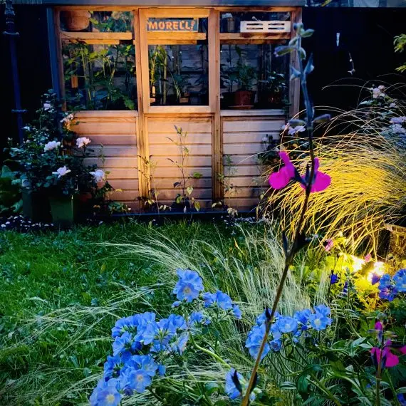 Shandon garden at night