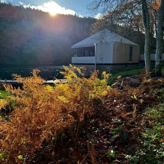 Autumnal colours