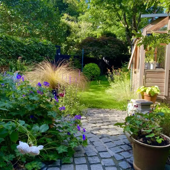 Shandon garden in summer