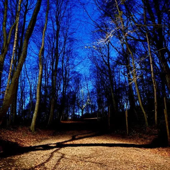 Moon lights on track