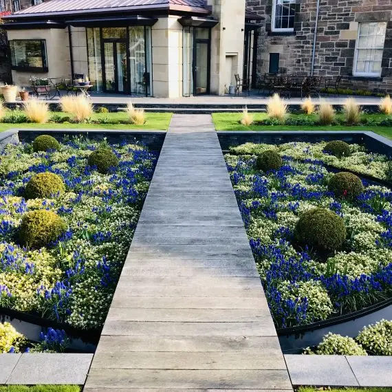 Timber boardwalk and sunken garden