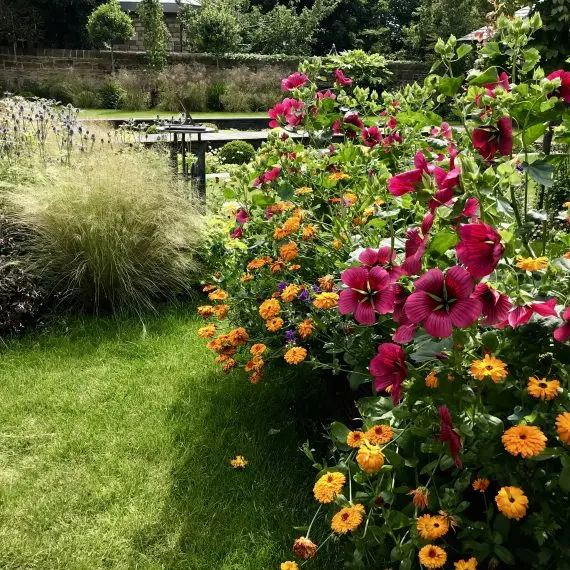 Raised bed with summer planting