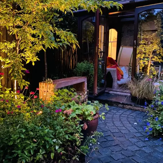 Shandon garden at night