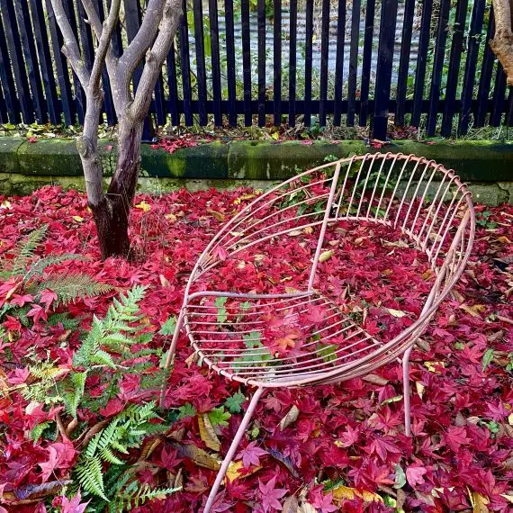 Shandon garden in autumn