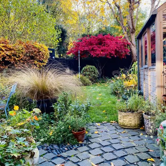 Shandon garden in autumn