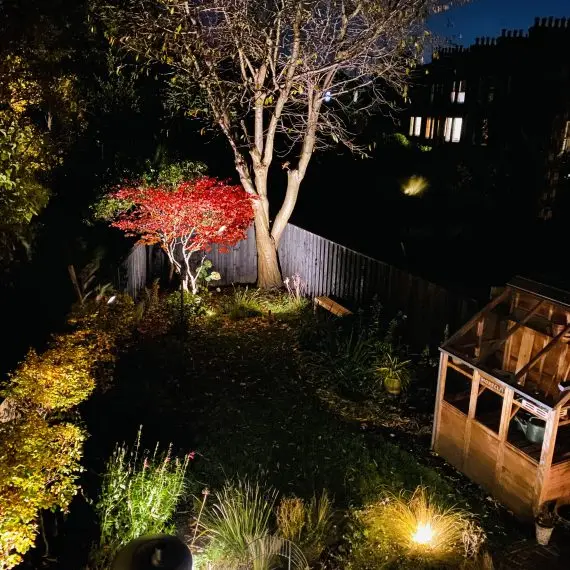 Shandon garden at night