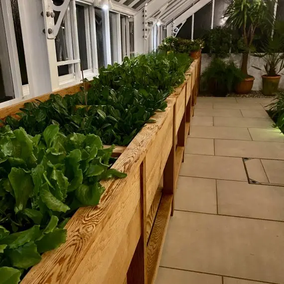 Greenhouse/orangerie lighting
