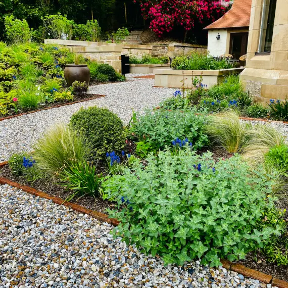 Gravel paths and ground level borders