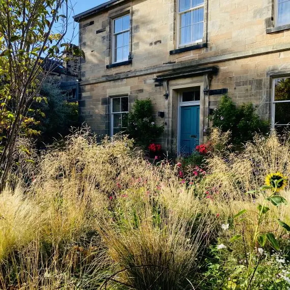 Front garden prairie planting