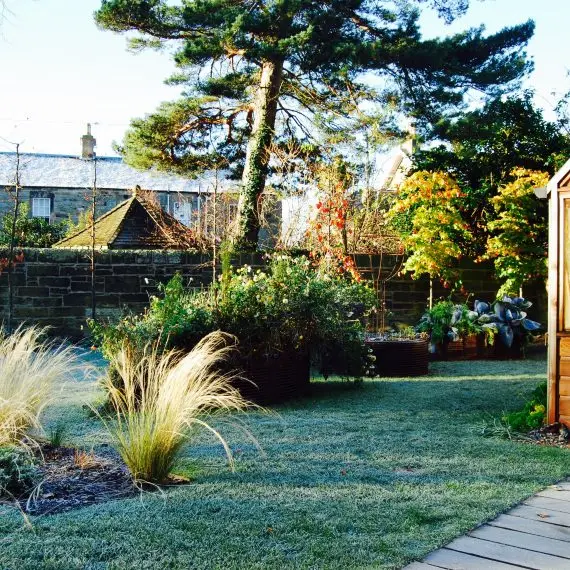 Merchiston Garden, winter, designed by Carolyn Grohmann