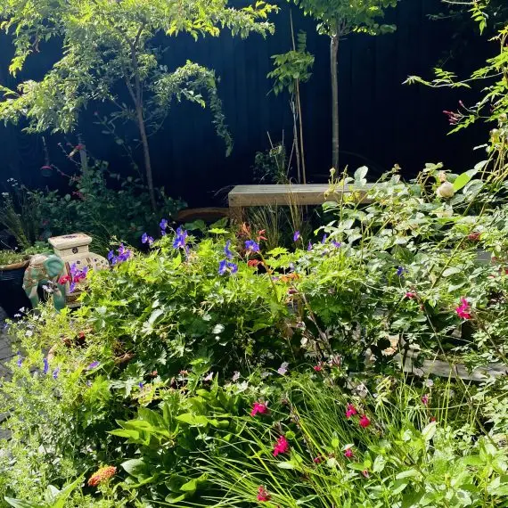Herbaceous planting in Shandon Garden
