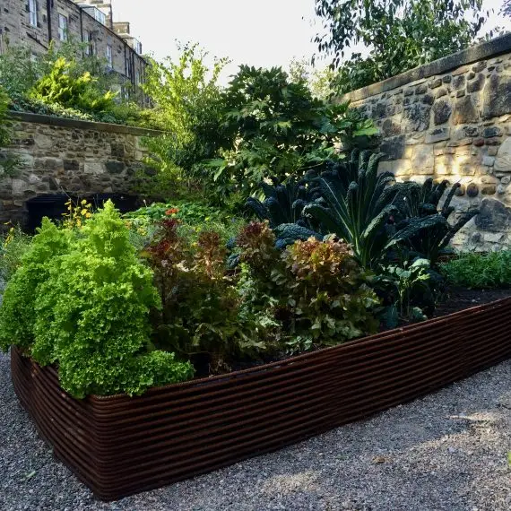 Woven rebar raised bed filled with vegetables