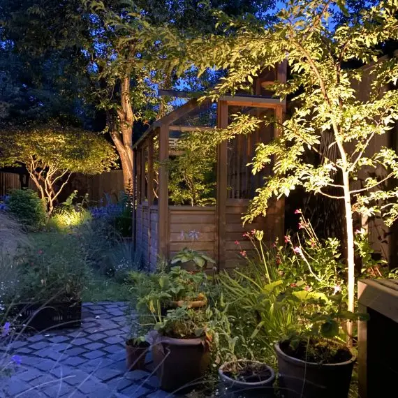Shandon garden at night