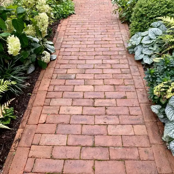Red brick paver path