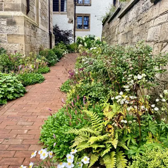 Plants line the red brick path